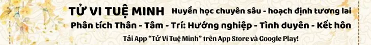 Tử Vi Tuệ Minh