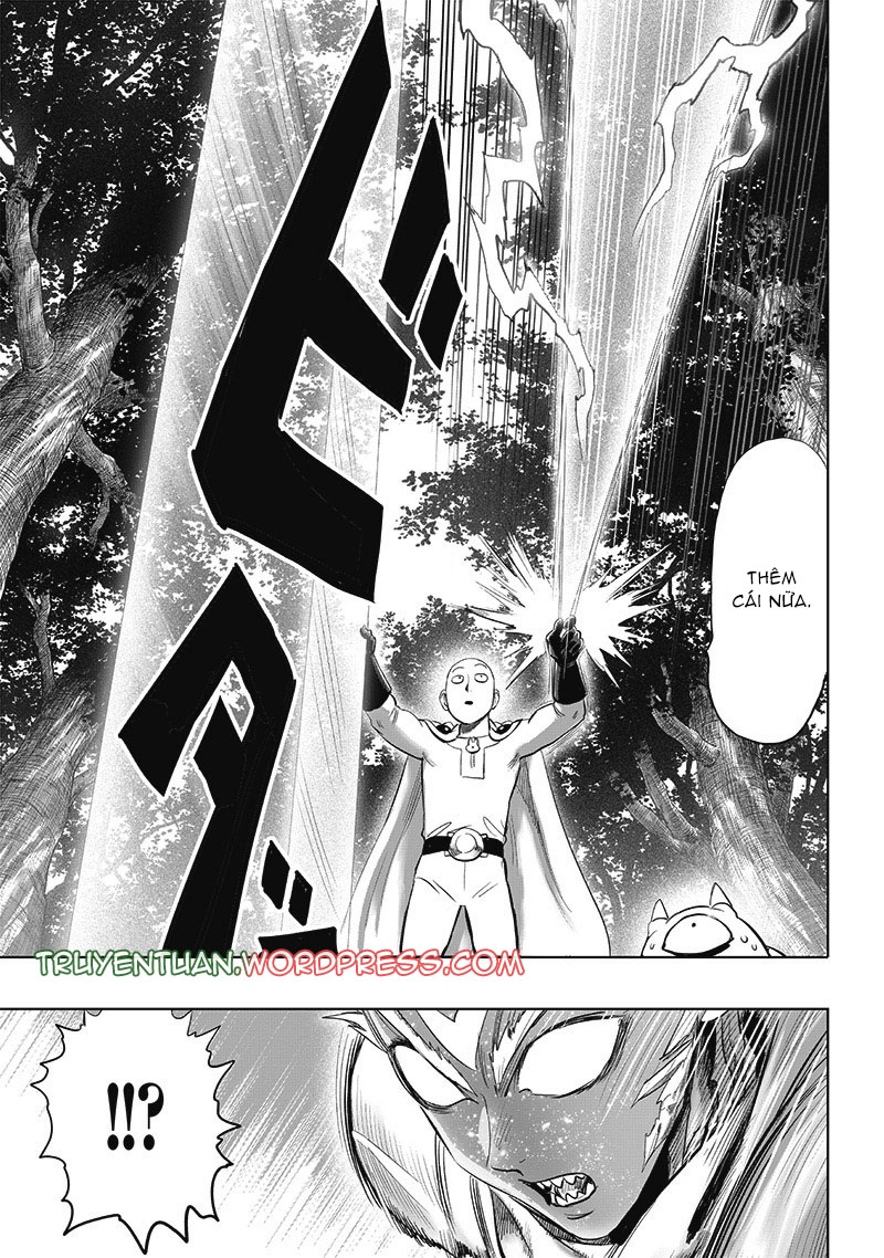 Truyện Tranh Anh Hùng: One-Punch Man trang 8646