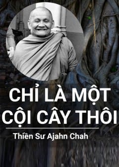 Chỉ Là Một Cội Cây