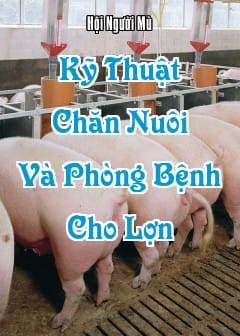 Kỹ Thuật Chăn Nuôi Và Phòng Bệnh Cho Lợn